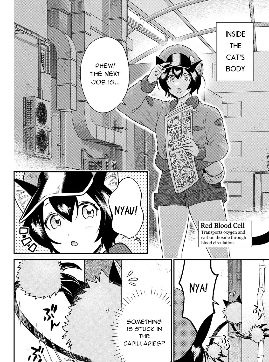 Cells at Work! Cat Chapter 4 page 8 - 