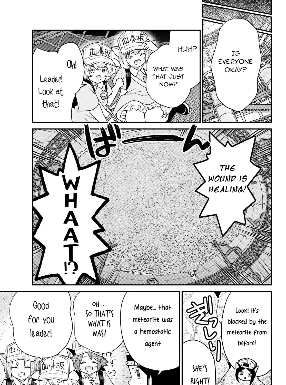 Cells at Work! Cat Chapter 5 page 29 - 