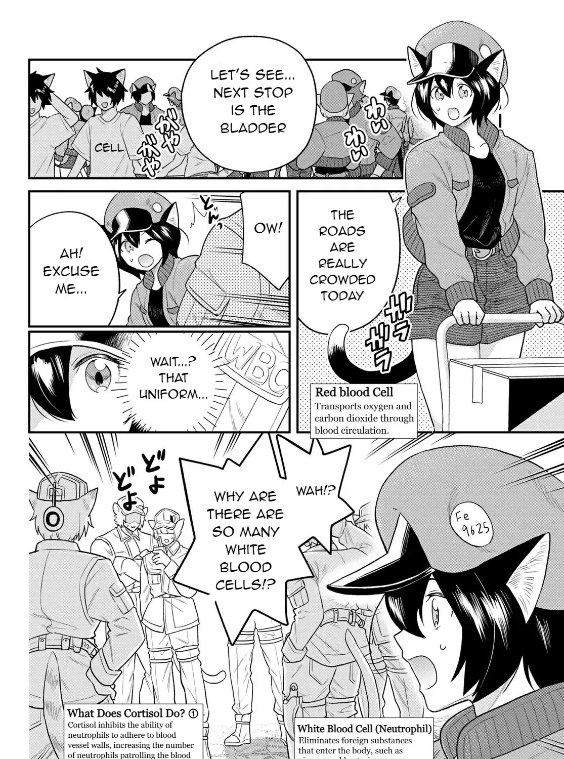Cells at Work! Cat Chapter 6 page 15 - 