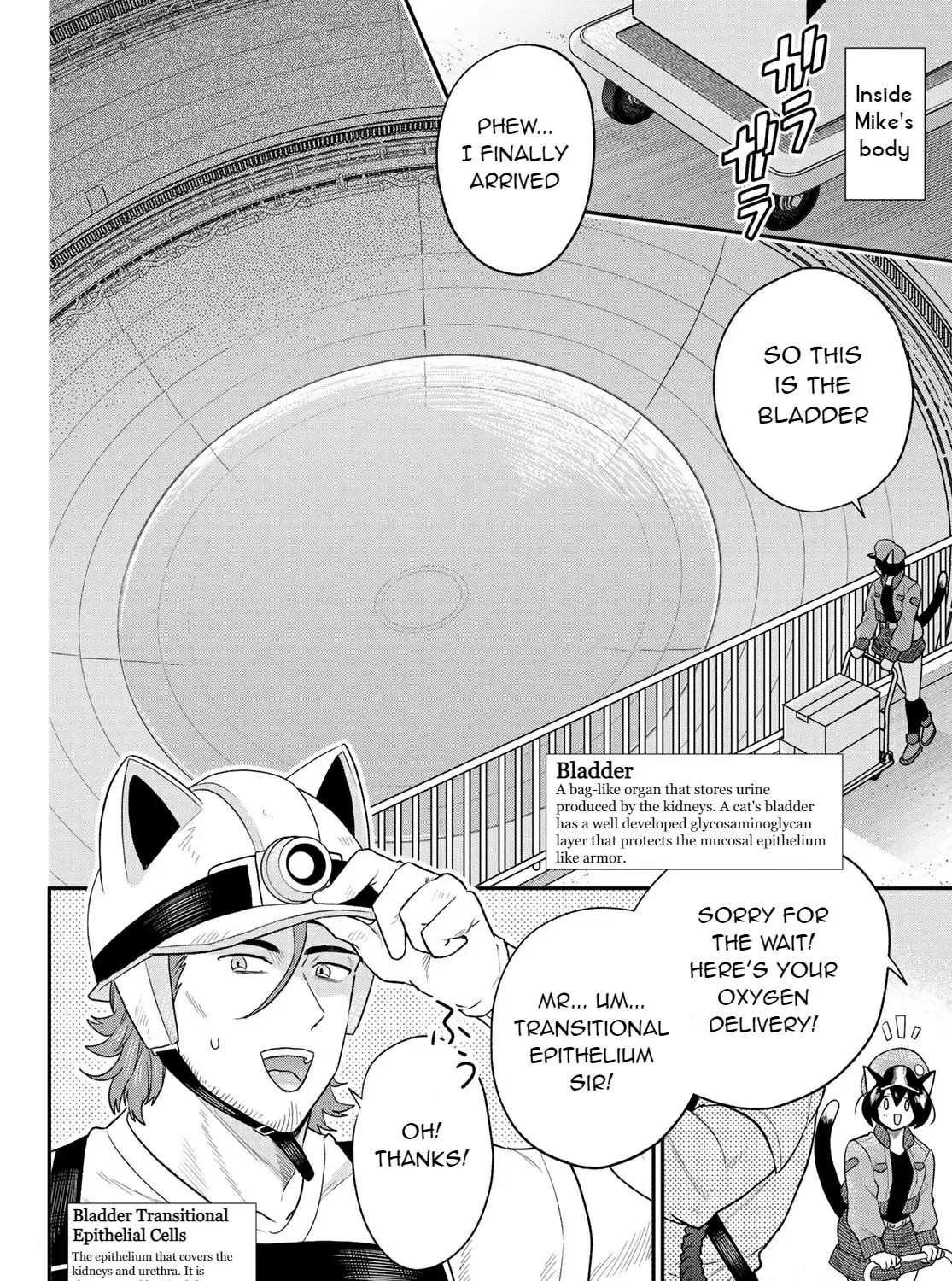 Cells at Work! Cat Chapter 6 page 27 - 