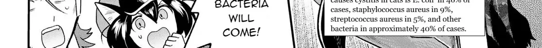 Cells at Work! Cat Chapter 6 page 32 - 