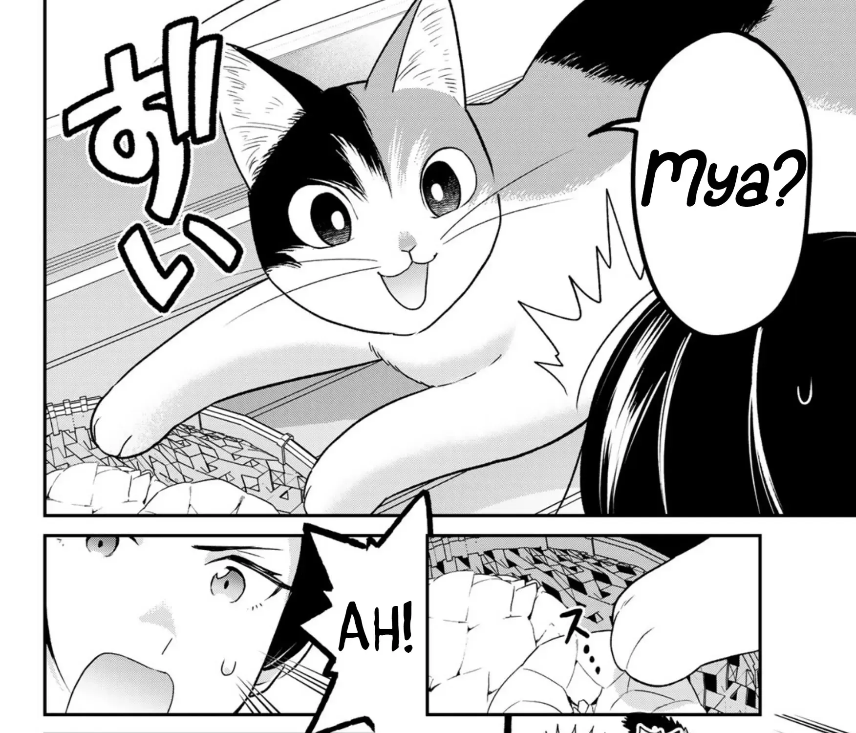 Cells at Work! Cat Chapter 7 page 11 - 