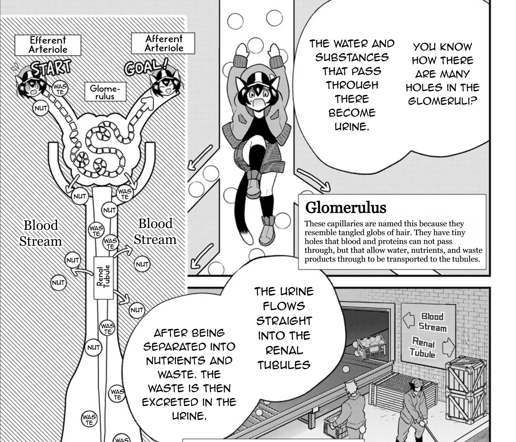 Cells at Work! Cat Chapter 7 page 21 - 