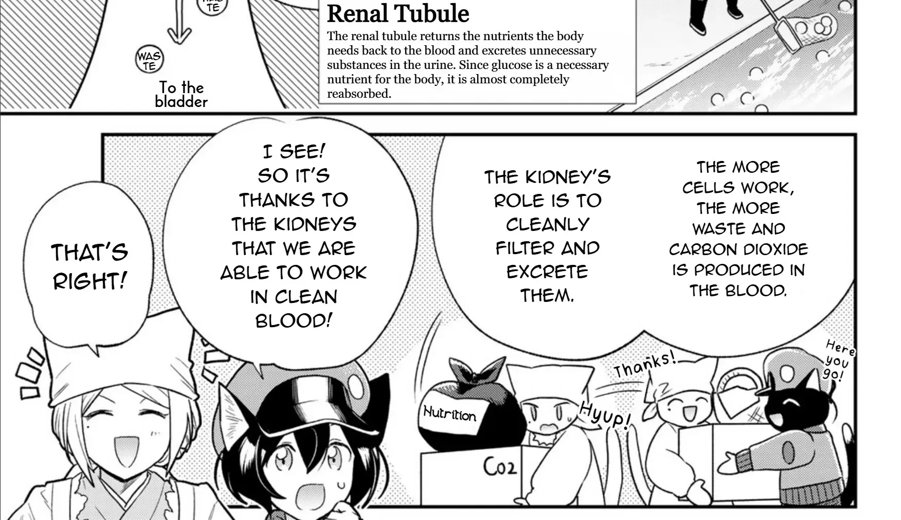 Cells at Work! Cat Chapter 7 page 22 - 