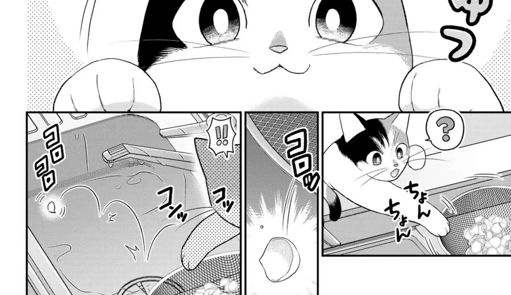 Cells at Work! Cat Chapter 7 page 24 - 