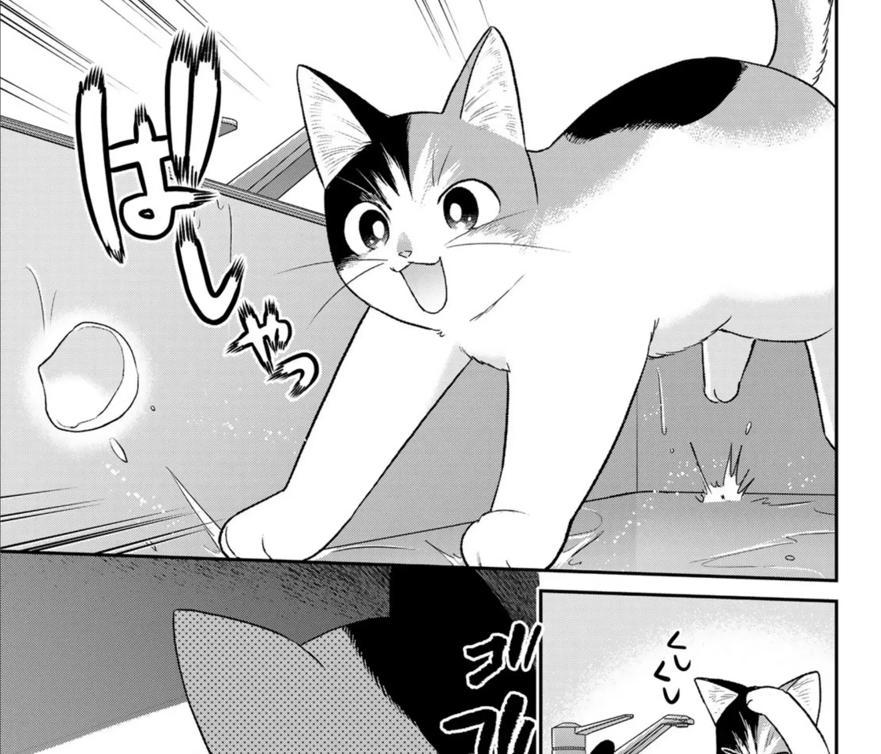 Cells at Work! Cat Chapter 7 page 25 - 