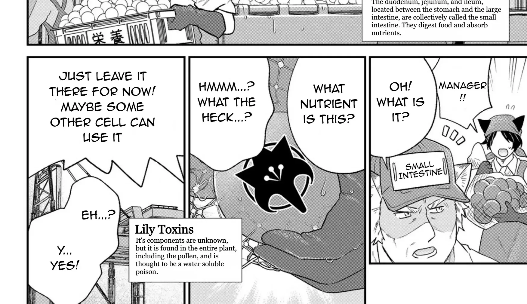 Cells at Work! Cat Chapter 7 page 28 - 