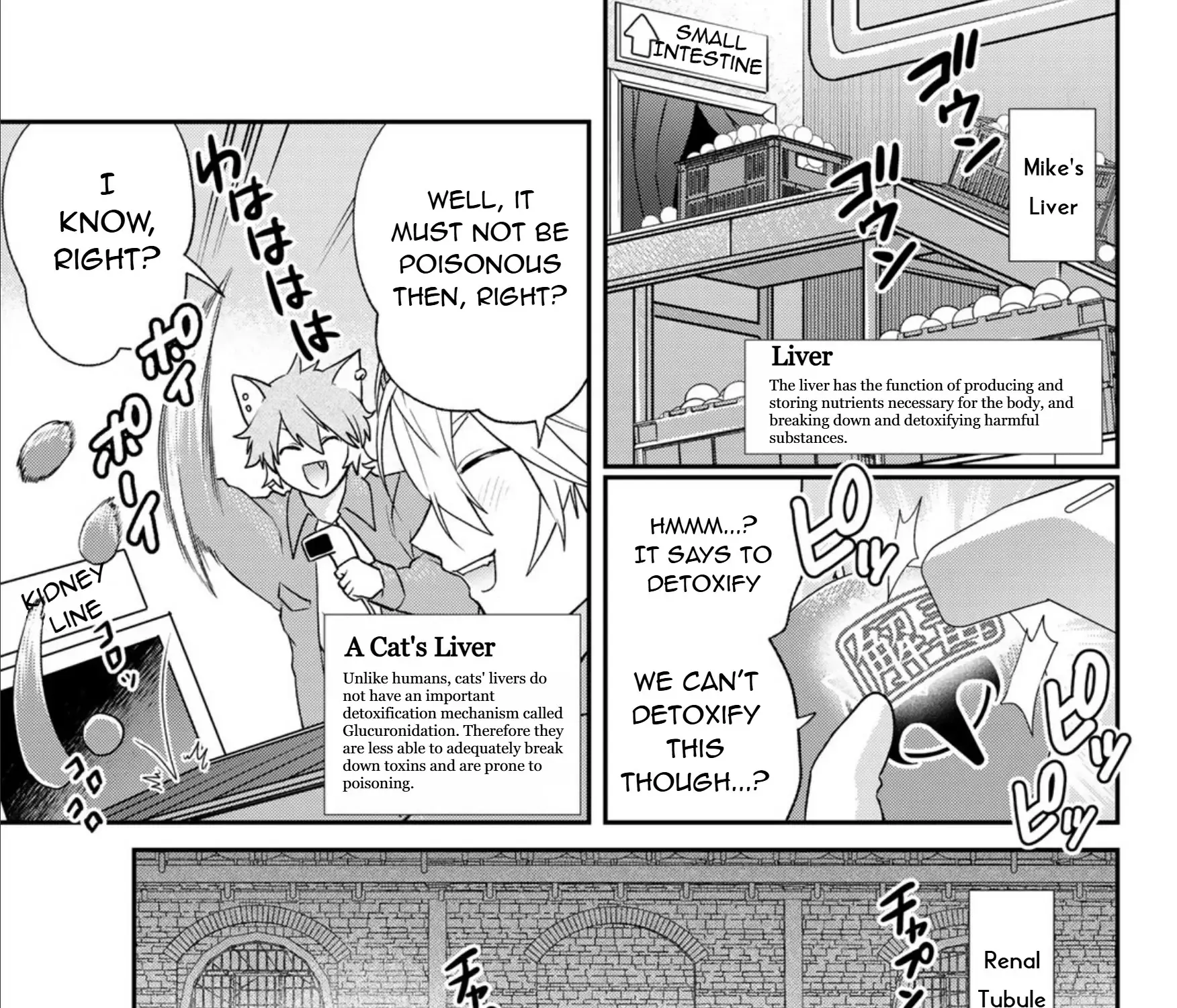 Cells at Work! Cat Chapter 7 page 29 - 