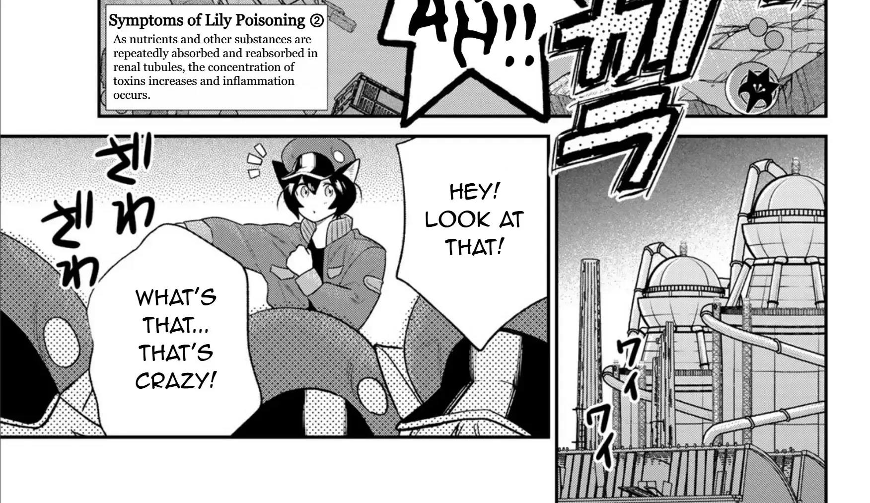 Cells at Work! Cat Chapter 7 page 46 - 