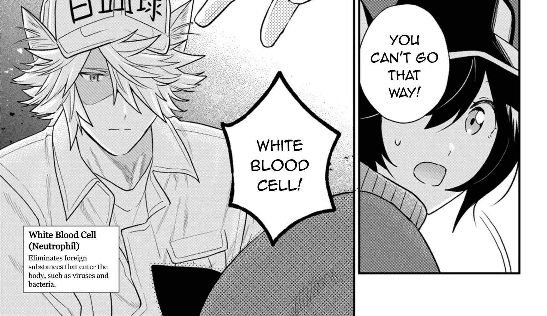 Cells at Work! Cat Chapter 7 page 50 - 