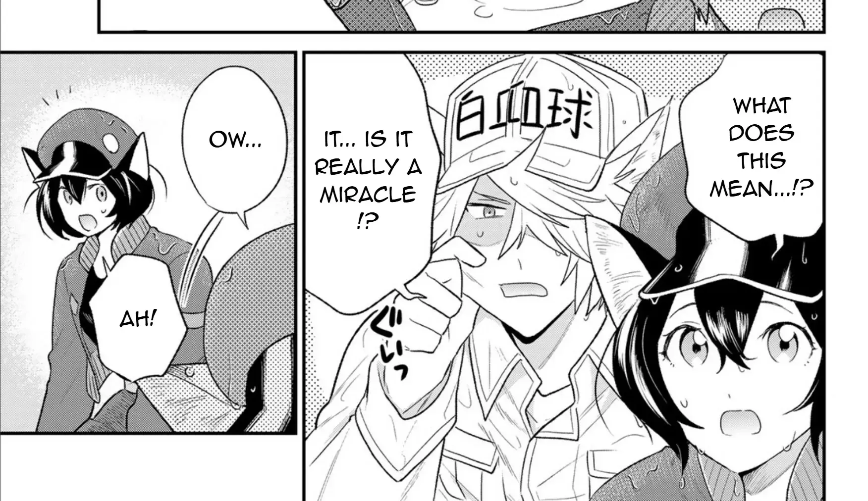 Cells at Work! Cat Chapter 7 page 58 - 