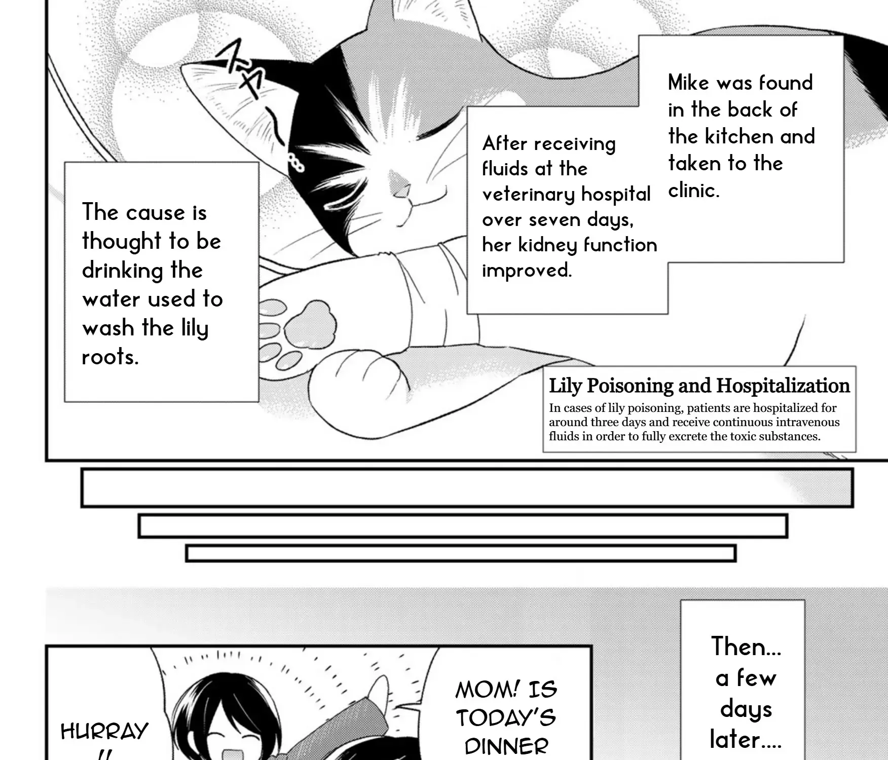 Cells at Work! Cat Chapter 7 page 63 - 