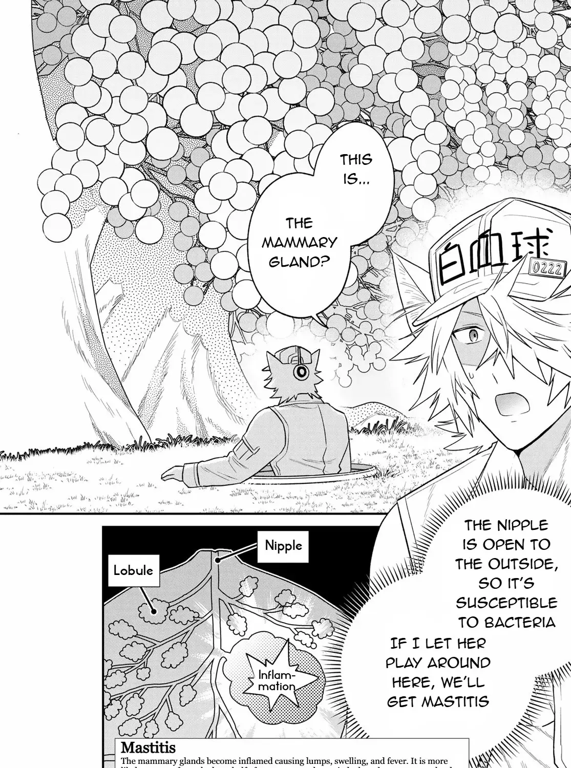 Cells at Work! Cat Chapter 8 page 15 - 