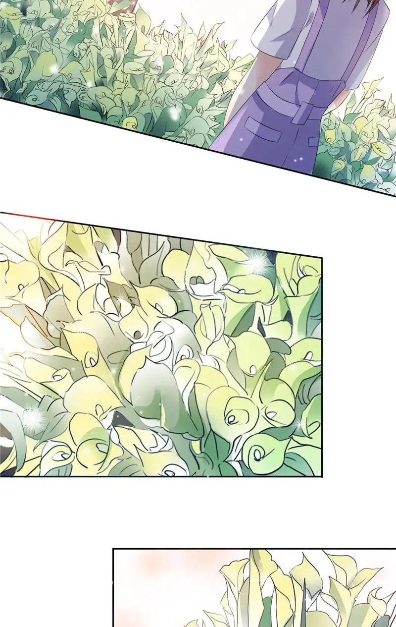CEO's Perfect Match Chapter 49 page 8 - 