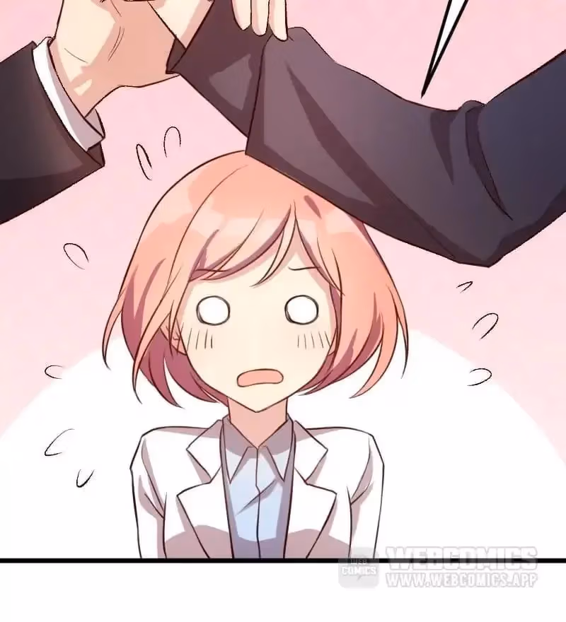 CEO's Sudden Proposal Chapter 10 page 14 - 