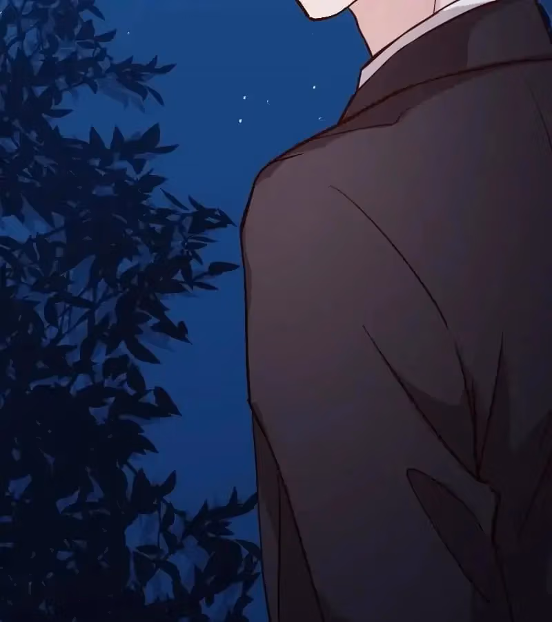 CEO's Sudden Proposal Chapter 15 page 12 - 
