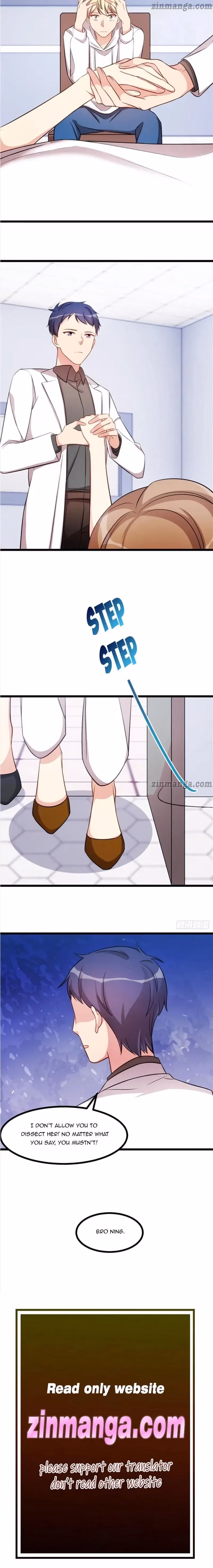 CEO's Sudden Proposal Chapter 238 page 6 - 