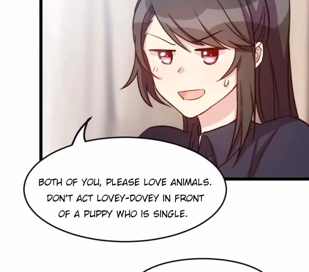 CEO's Sudden Proposal Chapter 25 page 24 - 