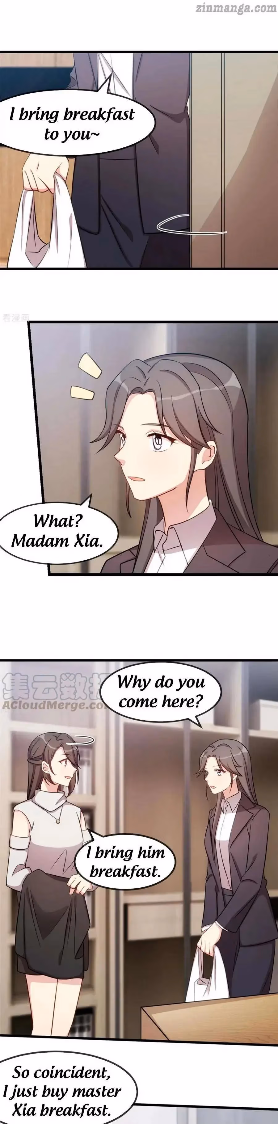 CEO's Sudden Proposal Chapter 268 page 25 - 