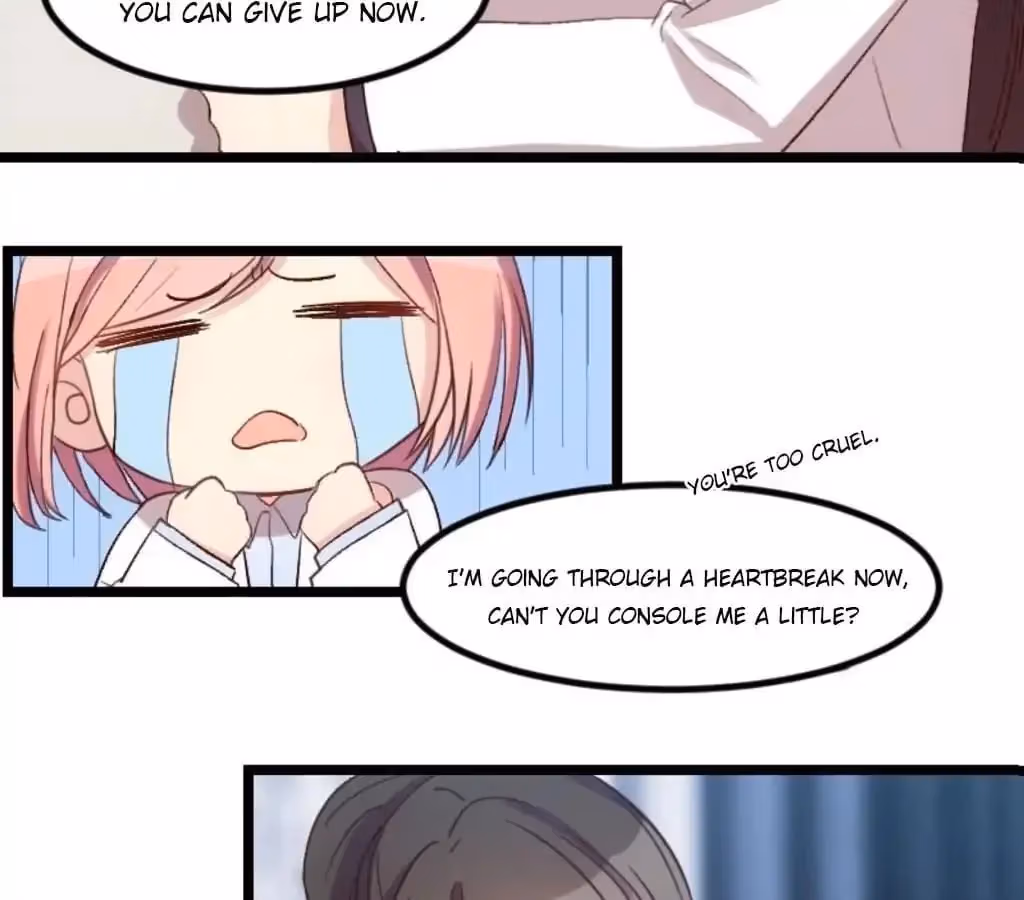 CEO's Sudden Proposal Chapter 37 page 12 - 