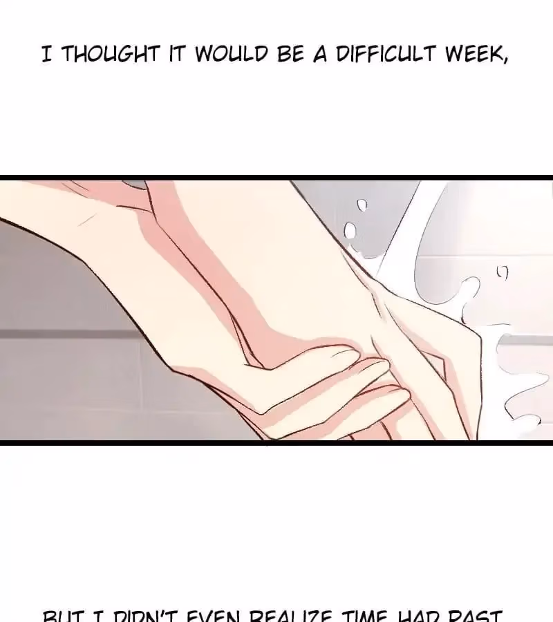 CEO's Sudden Proposal Chapter 9 page 8 - 