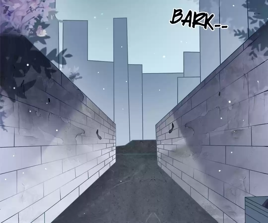 CEO's Handsome Trainee Chapter 1 page 11 - 