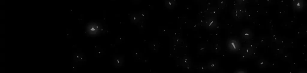 Charlotte and Her 5 Disciples Chapter 169 page 60 - 