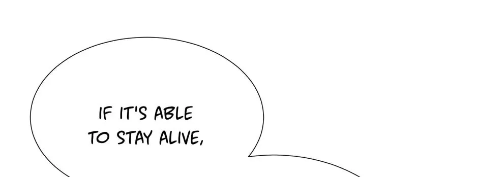Charlotte and Her 5 Disciples Chapter 185 page 16 - 