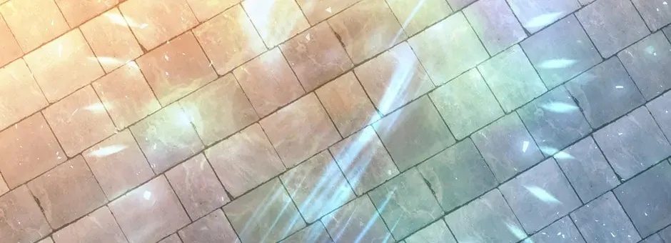 Charlotte and Her 5 Disciples Chapter 189 page 74 - 