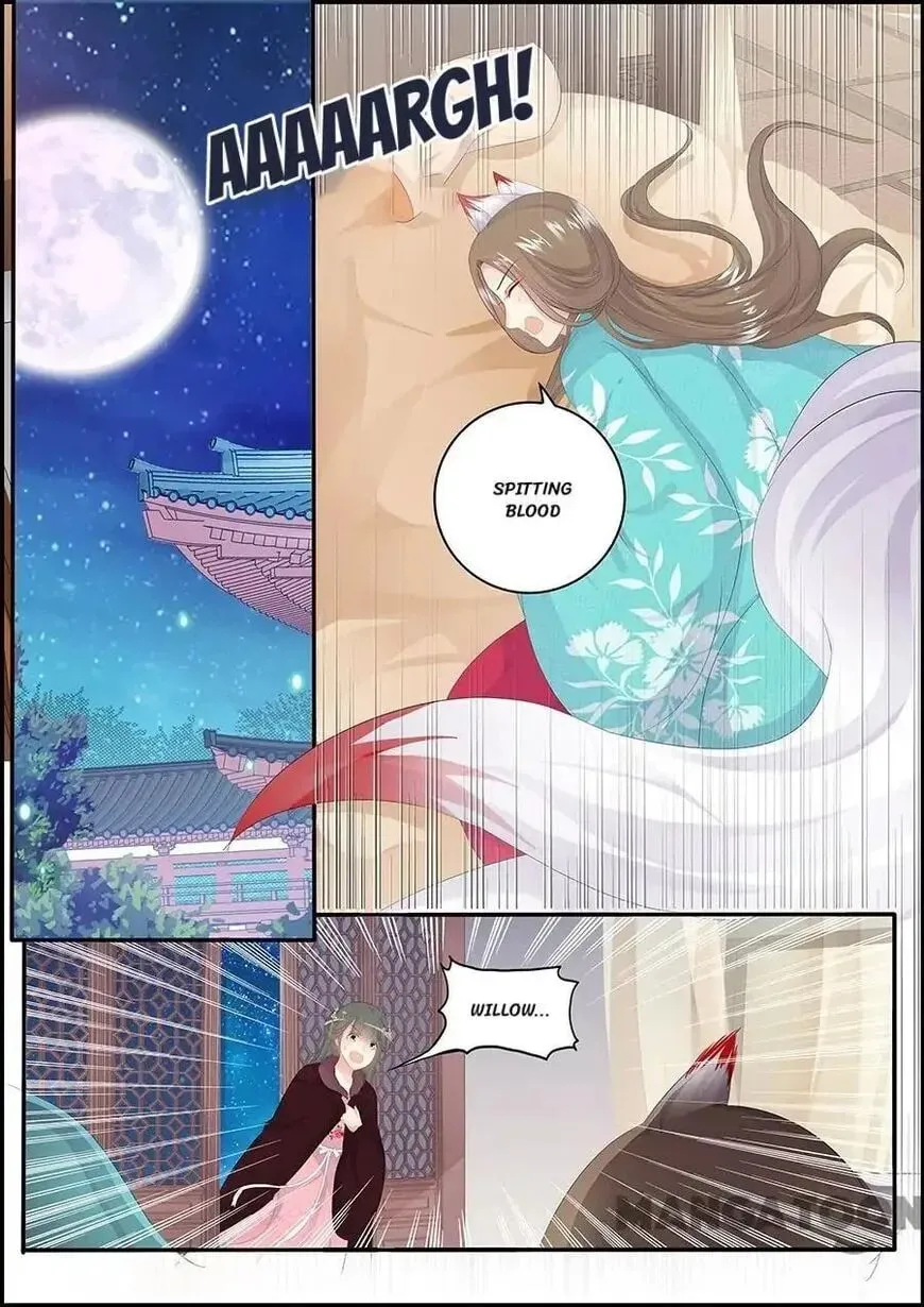 Chasing Star Moon (Colored) Chapter 170 page 1 - 