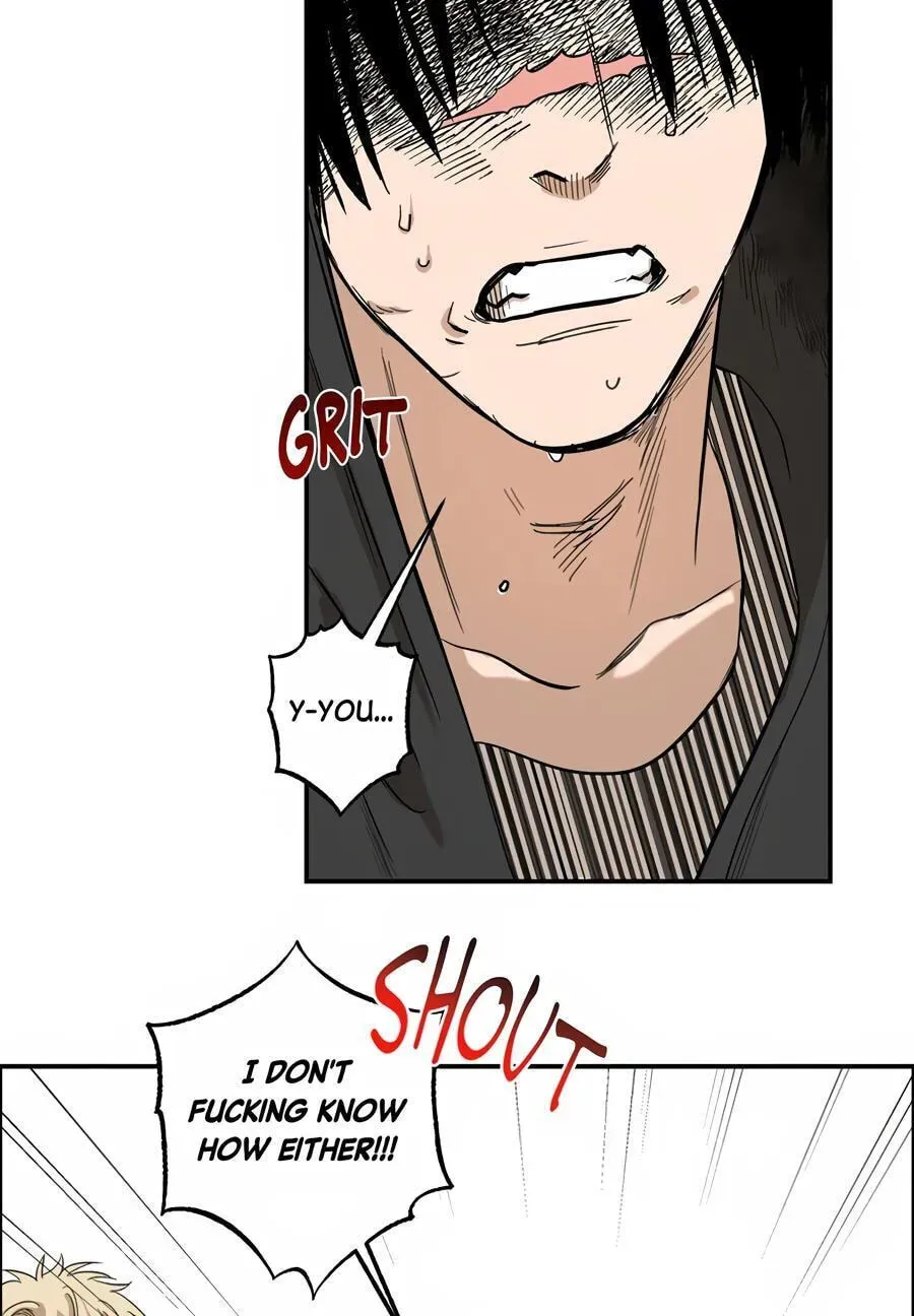 Cheater Meter Chapter 18 page 61 - 