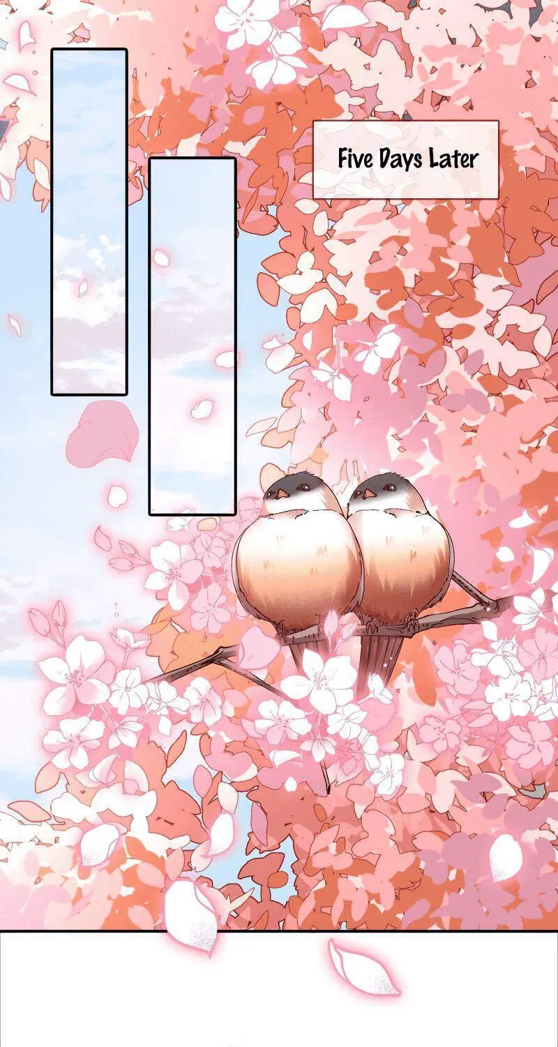 Cheating Men Must Die Chapter 268 page 2 - 