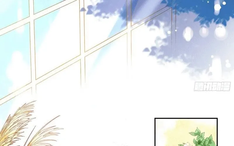 Cheating Men Must Die Chapter 283 page 61 - 