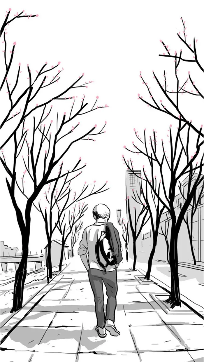 Cherry Blossoms Chapter 1 page 62 - 