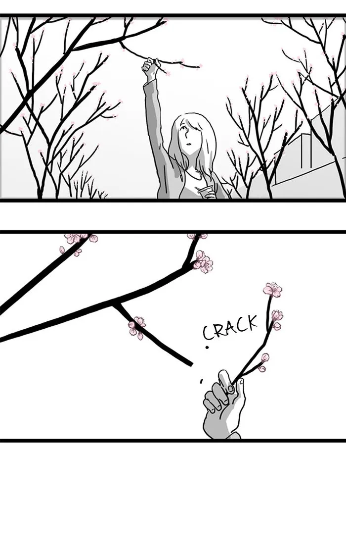 Cherry Blossoms Chapter 2 page 44 - 
