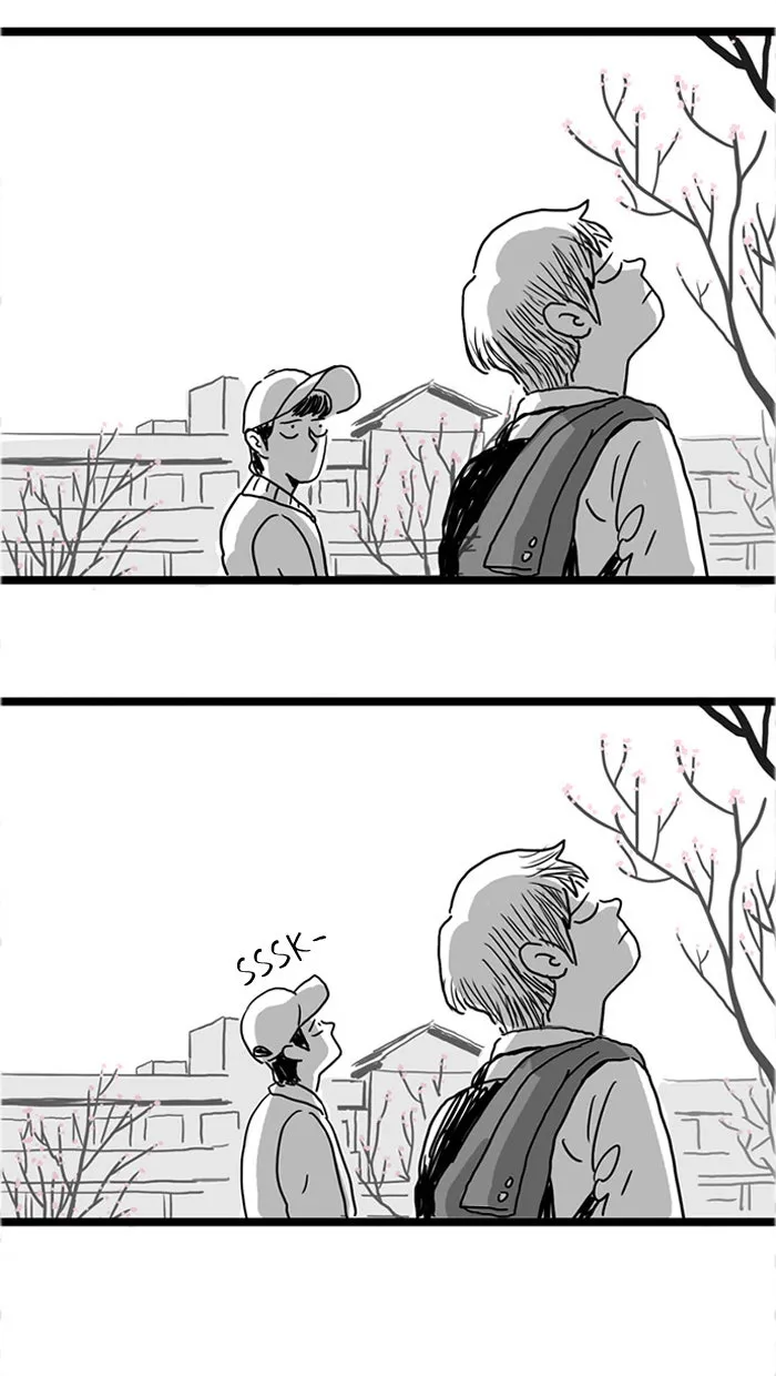 Cherry Blossoms Chapter 2 page 49 - 