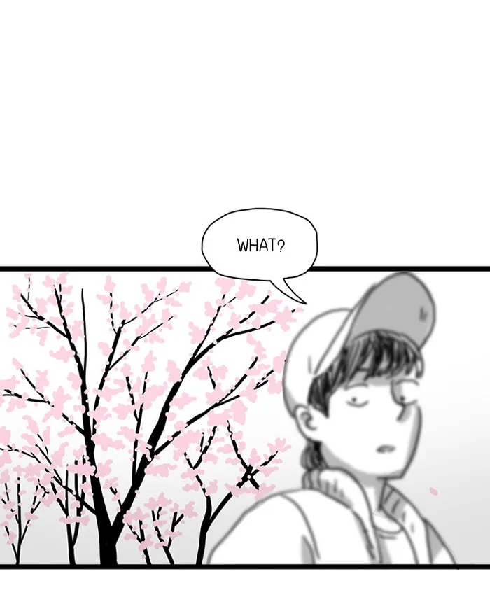 Cherry Blossoms Chapter 3 page 47 - 