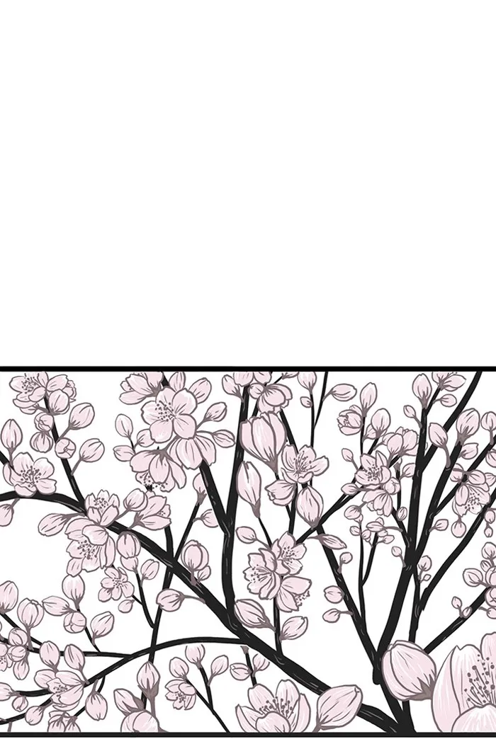 Cherry Blossoms Chapter 3 page 48 - 