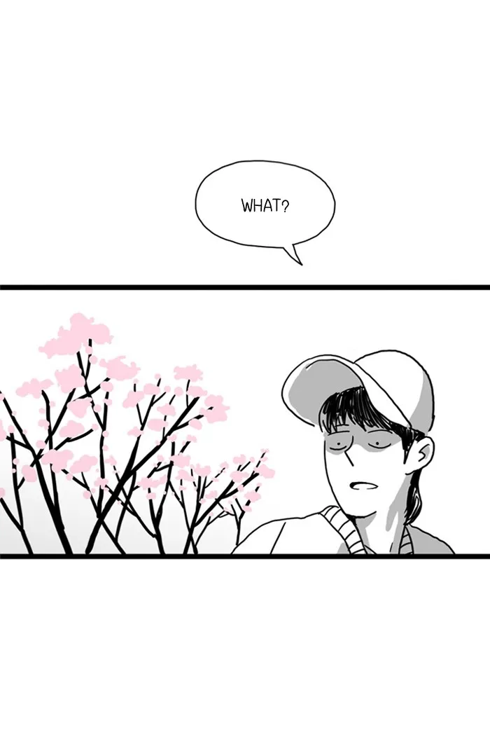 Cherry Blossoms Chapter 4 page 1 - 