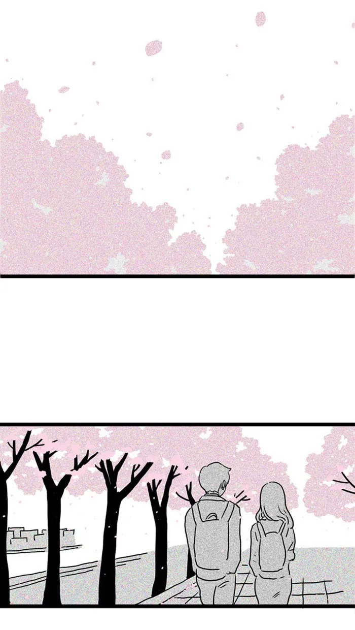 Cherry Blossoms Chapter 5 page 48 - 