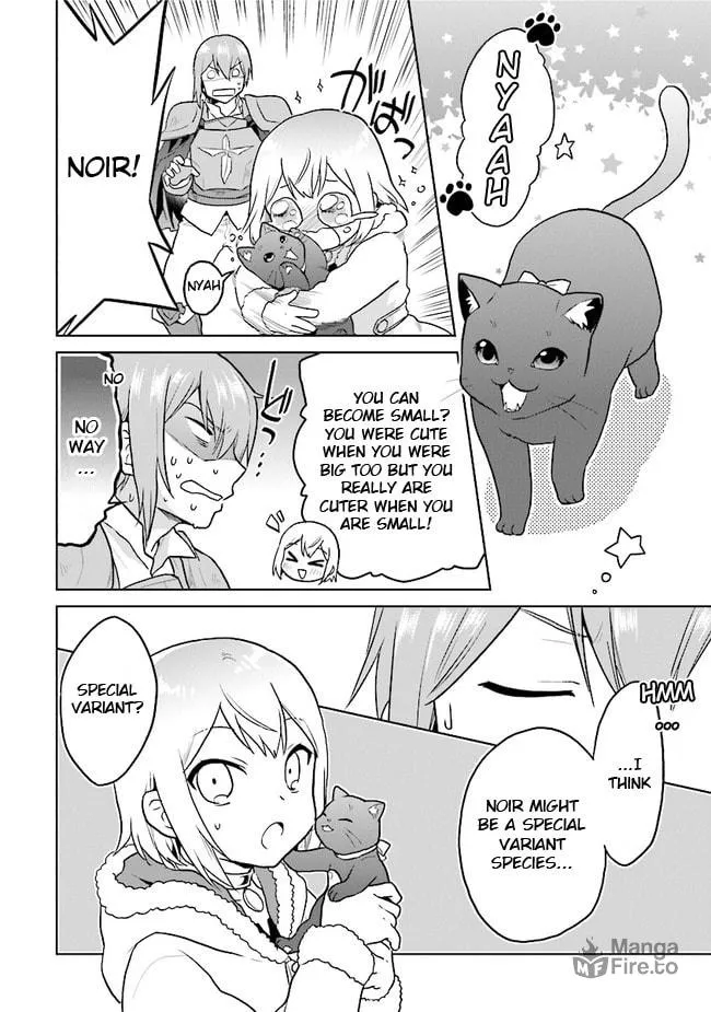 Chibikko Kenja, Lv. 1 Kara Isekaide Ganbarimasu! Chapter 17 page 10 - 
