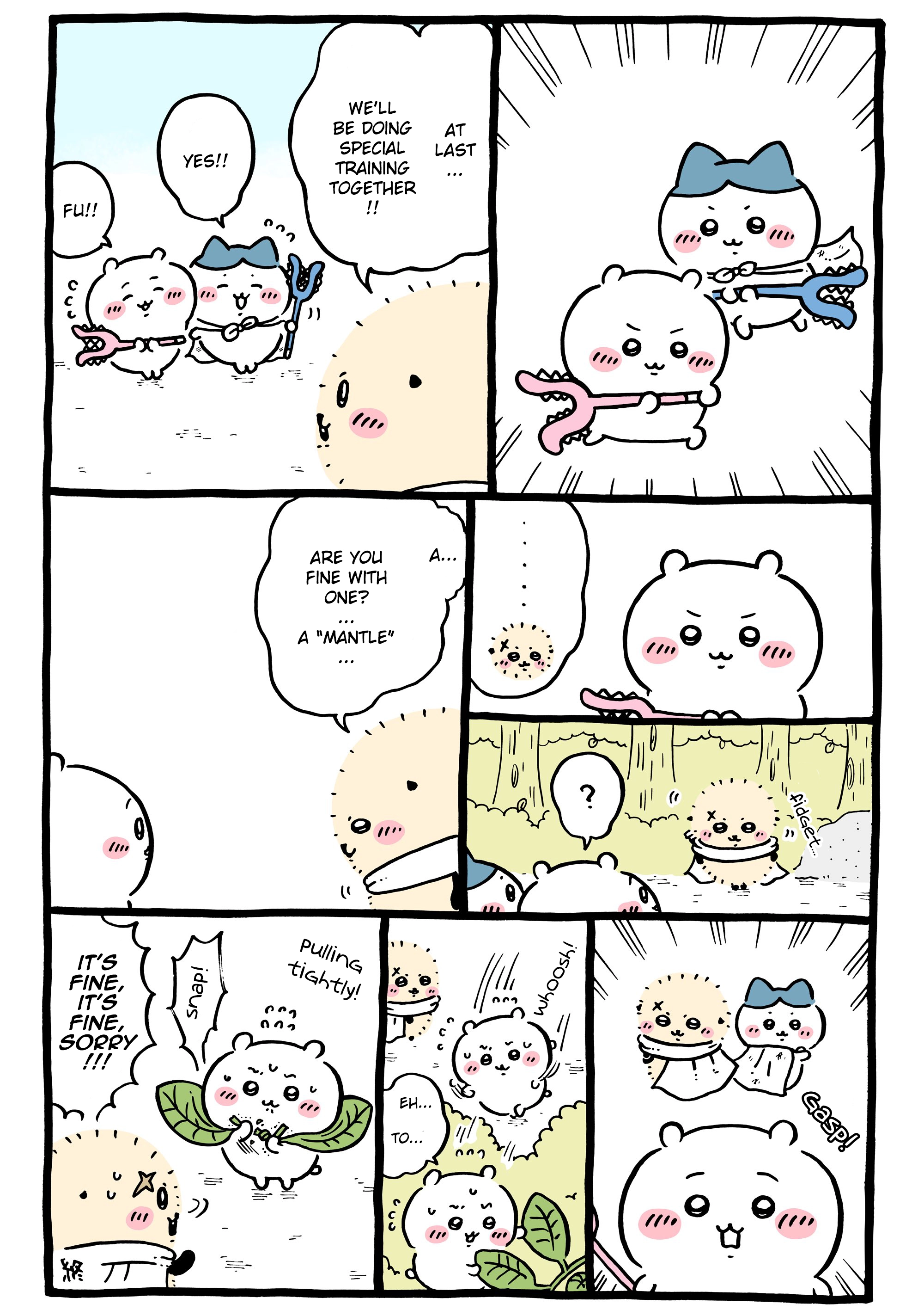 Chiikawa: Nanka Chiisakute Kawaii Yatsu Chapter 1161 page 1 - 