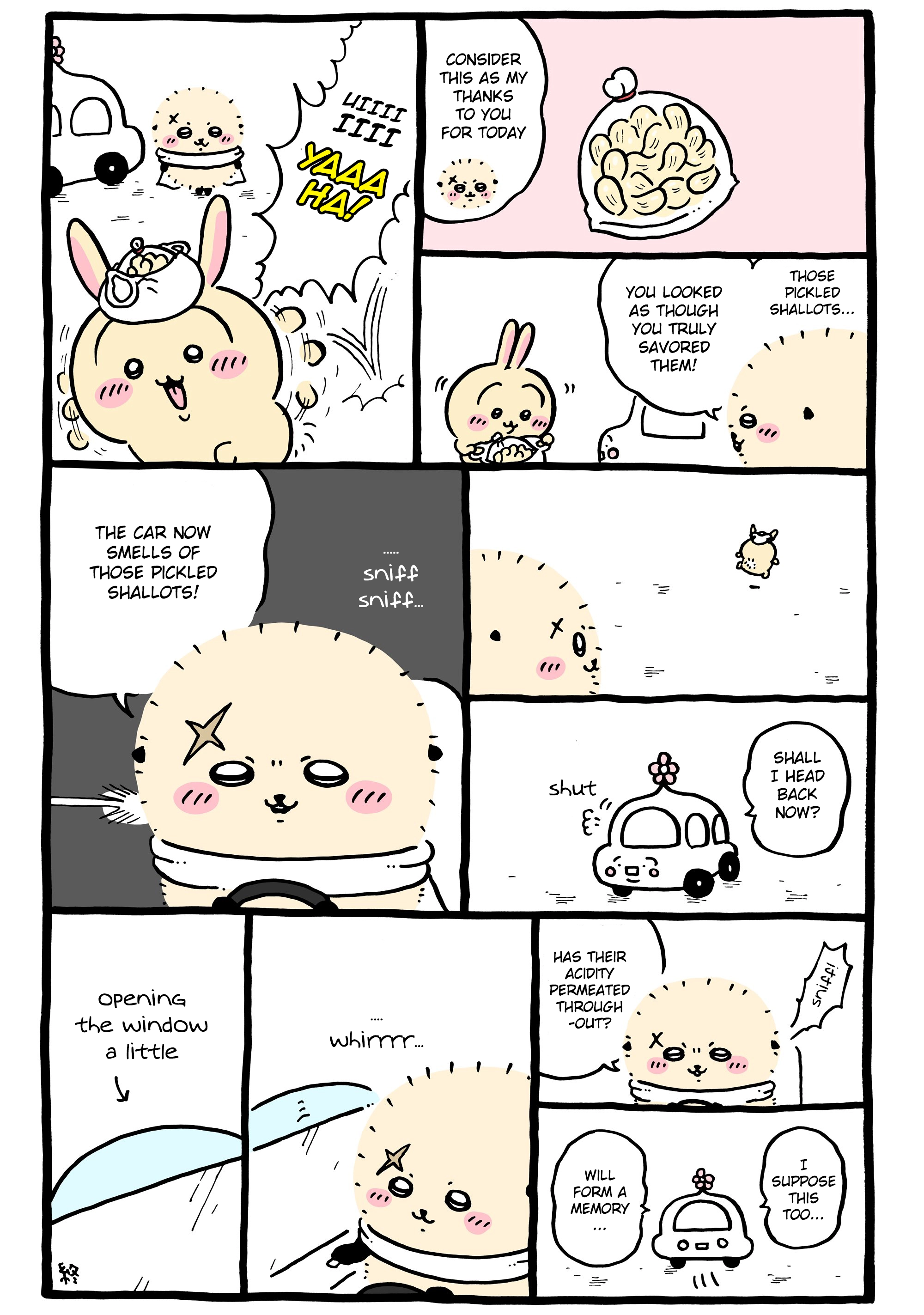 Chiikawa: Nanka Chiisakute Kawaii Yatsu Chapter 1170 page 1 - 