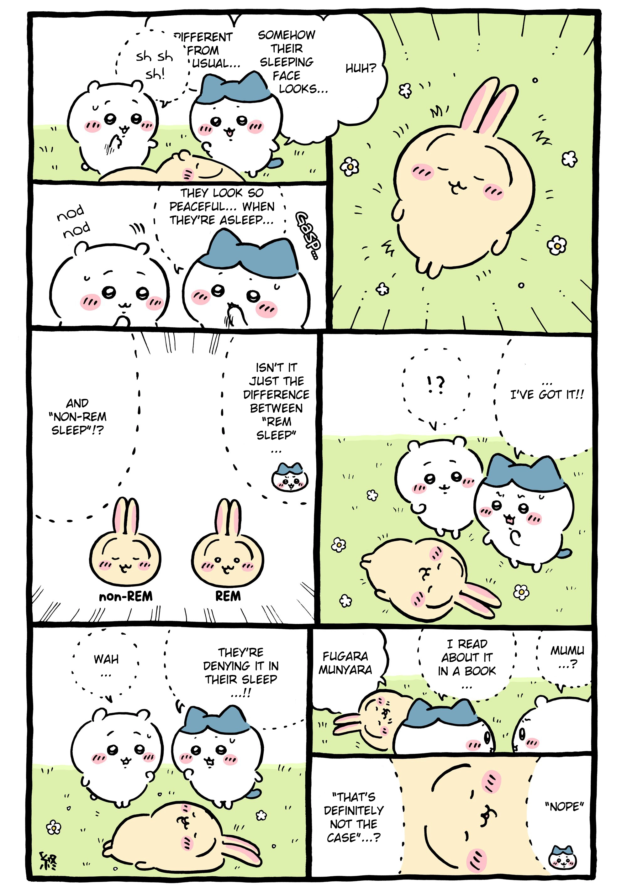 Chiikawa: Nanka Chiisakute Kawaii Yatsu Chapter 1195 page 1 - 
