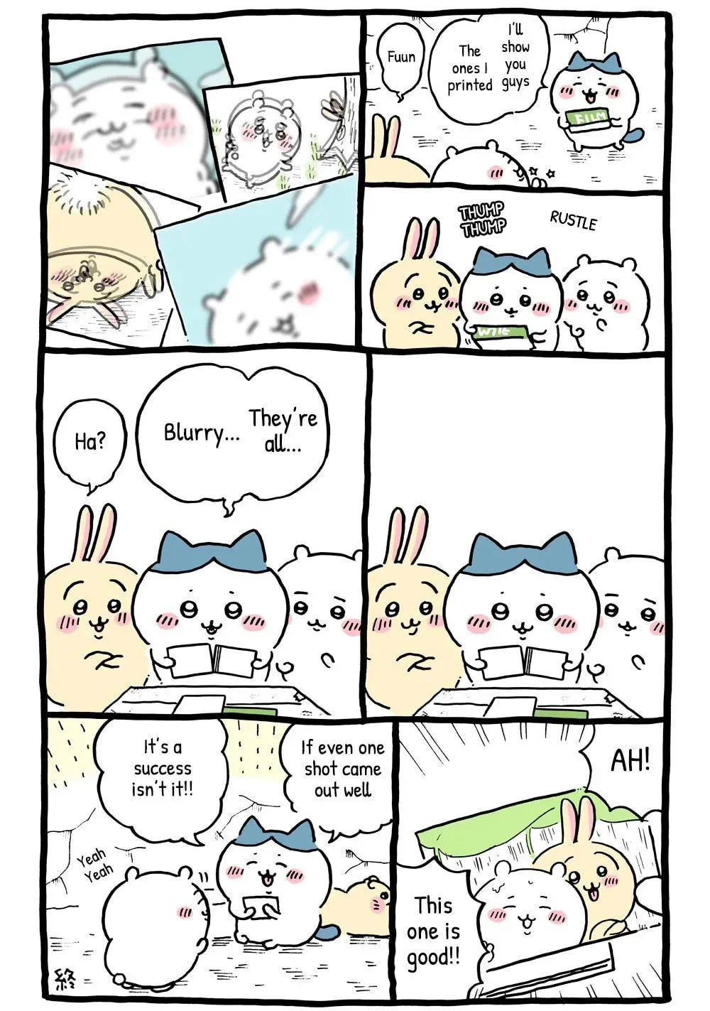 Chiikawa: Nanka Chiisakute Kawaii Yatsu Chapter 25 page 8 - 