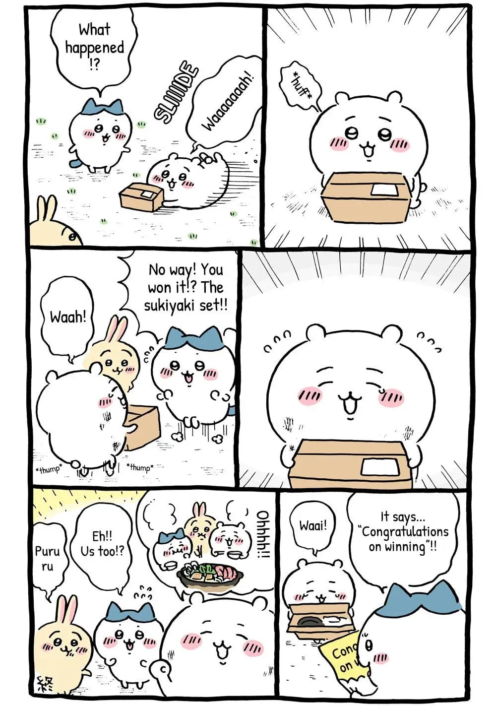 Chiikawa: Nanka Chiisakute Kawaii Yatsu Chapter 31 page 5 - 