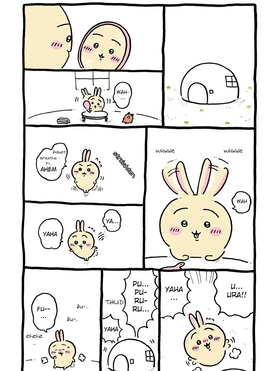 Chiikawa: Nanka Chiisakute Kawaii Yatsu Chapter 40 page 1 - 