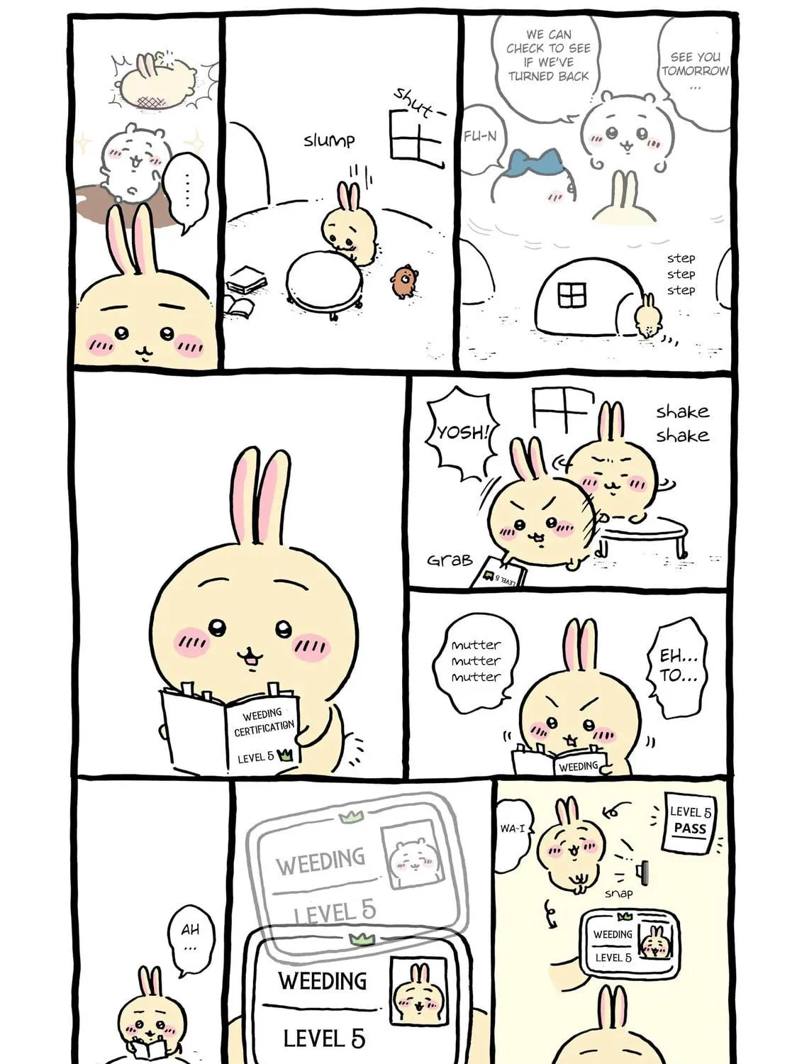 Chiikawa: Nanka Chiisakute Kawaii Yatsu Chapter 40 page 17 - 