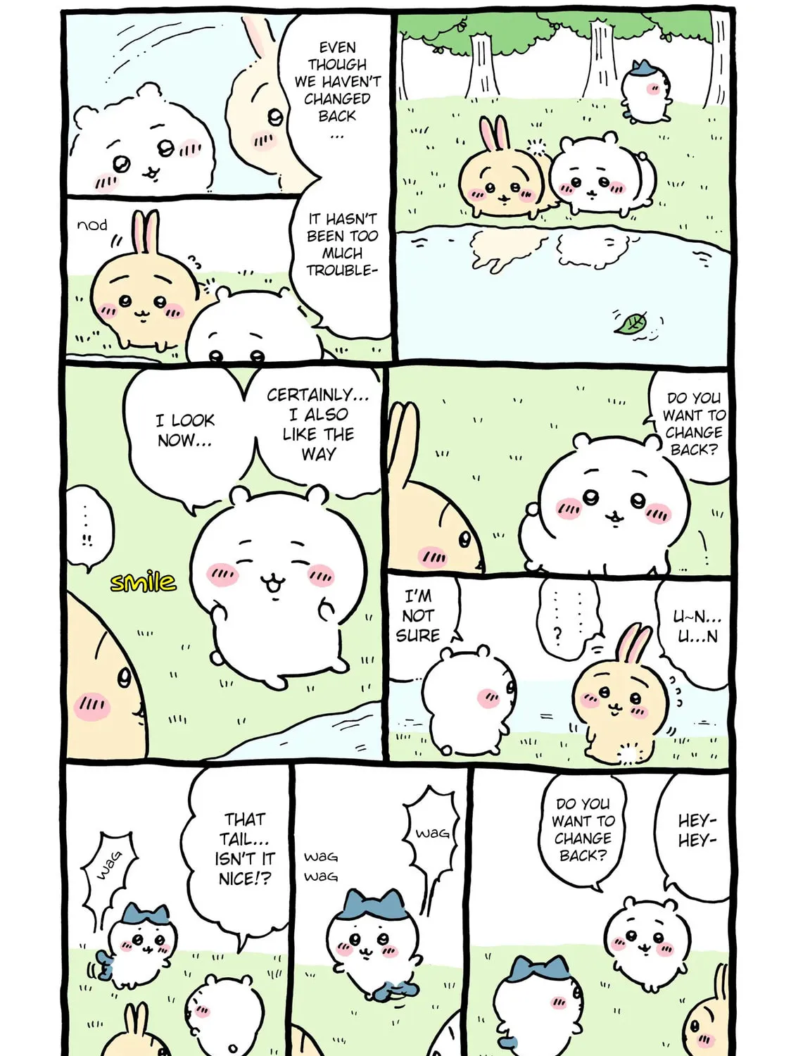Chiikawa: Nanka Chiisakute Kawaii Yatsu Chapter 40 page 9 - 