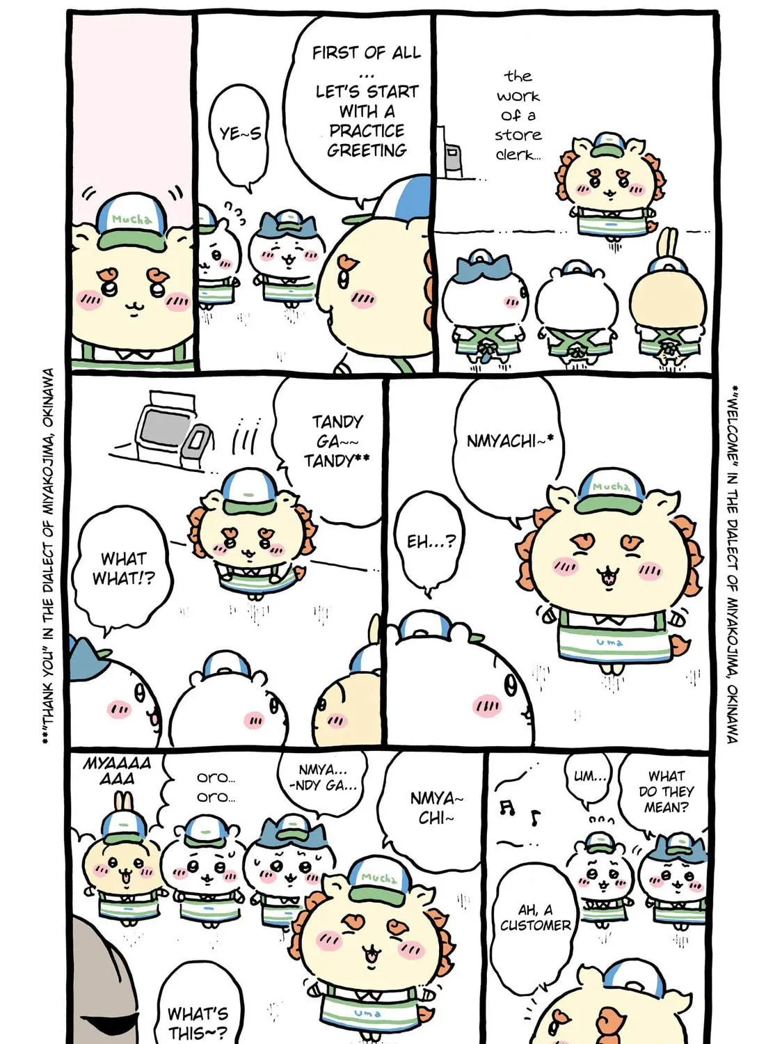 Chiikawa: Nanka Chiisakute Kawaii Yatsu Chapter 41 page 17 - 